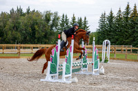 2025 - Haylee - Picco Horse Show - Saturday July 26th 02649