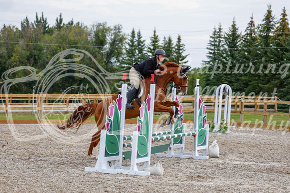 2025 - Haylee - Picco Horse Show - Saturday July 26th 02649