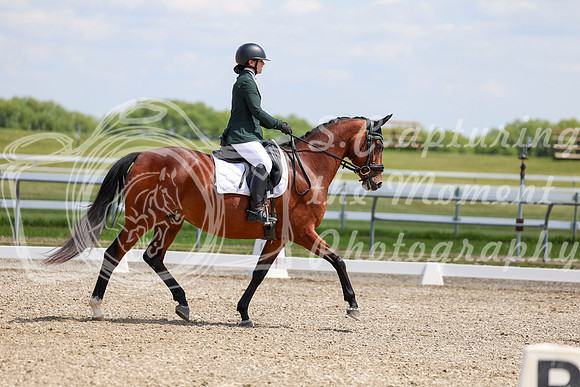 2025 - Dressage Festival - Saturday July 5th - 09428