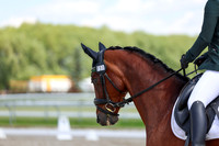 2025 - Dressage Festival - Saturday July 5th - 09406