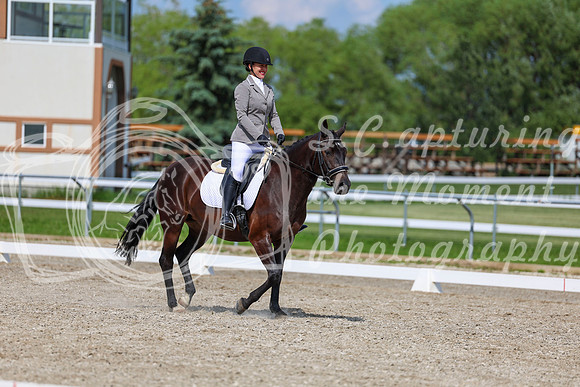 2025 - Dressage Festival - Saturday July 5th - 14548