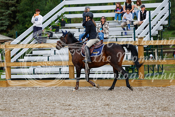 2025 - Haylee - Picco Horse Show - Saturday July 26th 00692