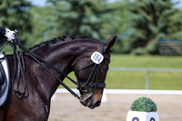 2025 - Dressage Festival - Saturday July 5th - 03556