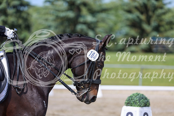 2025 - Dressage Festival - Saturday July 5th - 03556