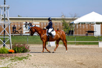 2025 - Dressage Festival - Saturday July 5th - 04745