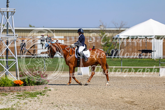 2025 - Dressage Festival - Saturday July 5th - 04745