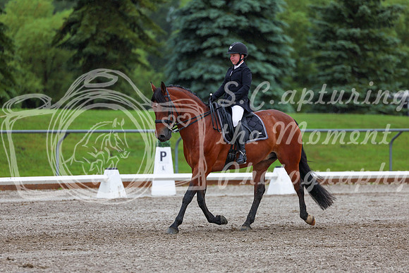 2025 - Dressage Festival - Sunday July 6th - 01067