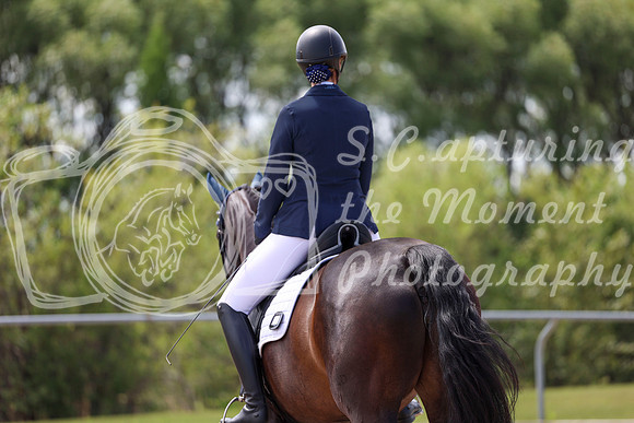 2025 - Dressage Festival - Saturday July 5th - 07492
