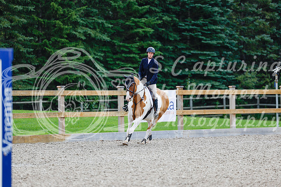 2025 - Haylee - Picco Horse Show - Sunday July 27th 04419