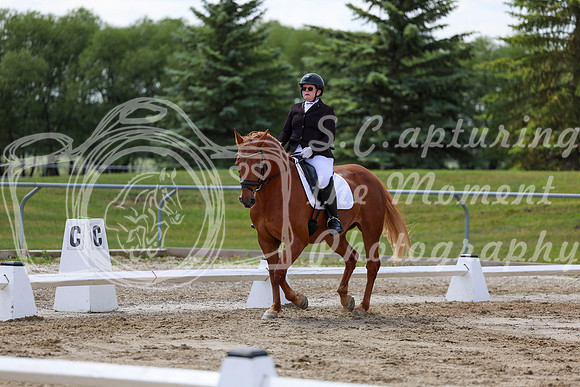 2025 - Dressage Festival - Saturday July 5th - 09604