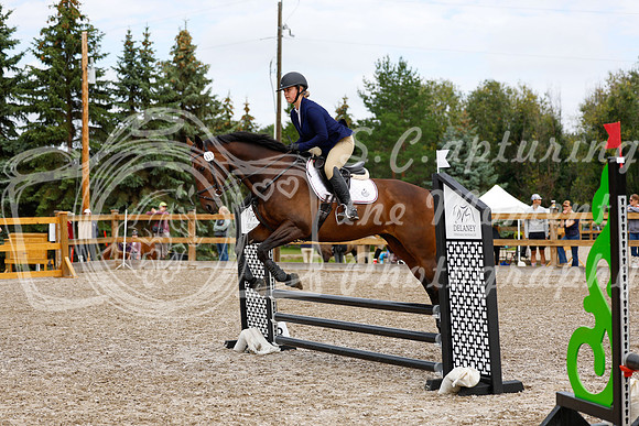 2025 - Haylee - Picco Horse Show - Saturday July 26th 02248