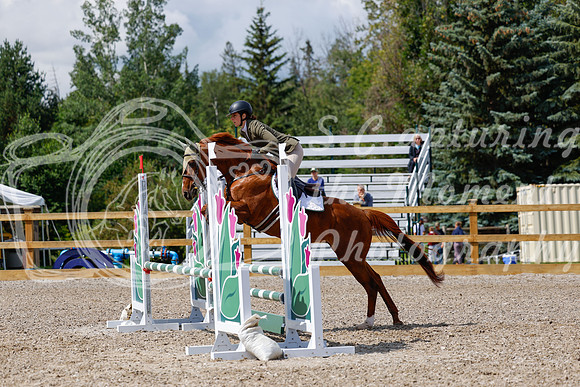2025 - Haylee - Picco Horse Show - Sunday July 27th 03158