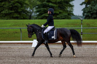 2025 - Dressage Festival - Sunday July 6th - 00013