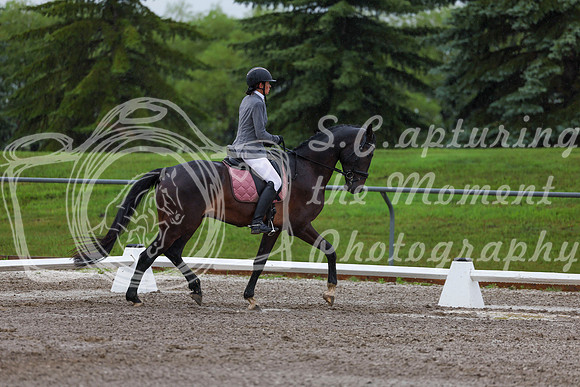 2025 - Dressage Festival - Sunday July 6th - 00634
