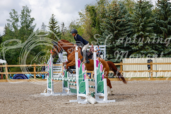2025 - Haylee - Picco Horse Show - Sunday July 27th 02676