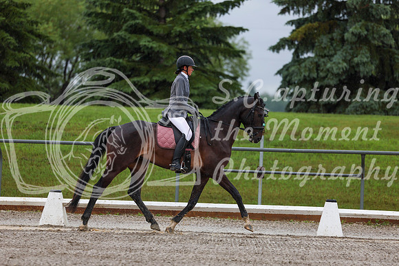 2025 - Dressage Festival - Sunday July 6th - 00714