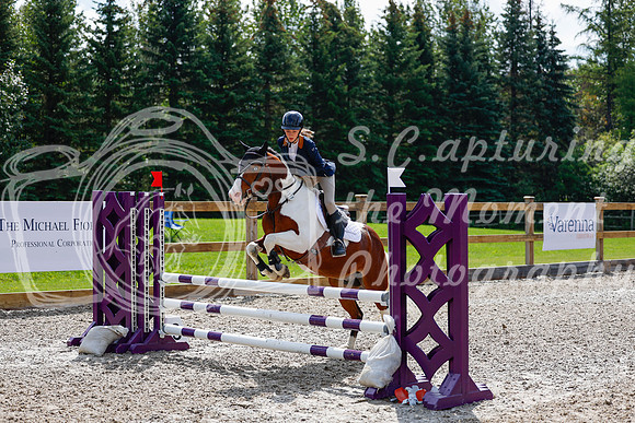 2025 - Haylee - Picco Horse Show - Sunday July 27th 02457