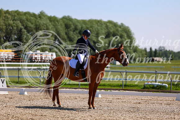 2025 - Dressage Festival - Saturday July 5th - 04775