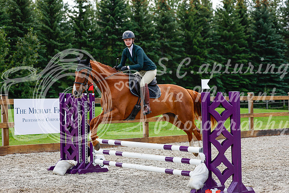 2025 - Haylee - Picco Horse Show - Sunday July 27th 02234