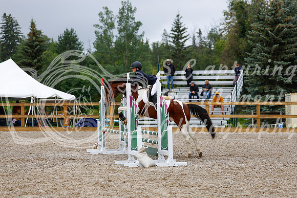 2025 - Haylee - Picco Horse Show - Sunday July 27th 01447