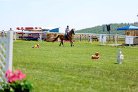 2025 - Shea - Teesdale - Thursday July 24th - 01739