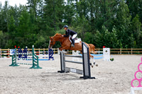 2025 - Haylee - Picco Horse Show - Friay July 25th 04230