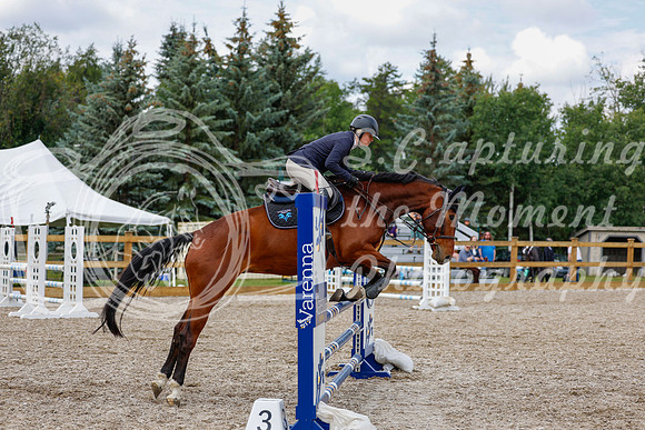 2025 - Haylee - Picco Horse Show - Saturday July 26th 06503
