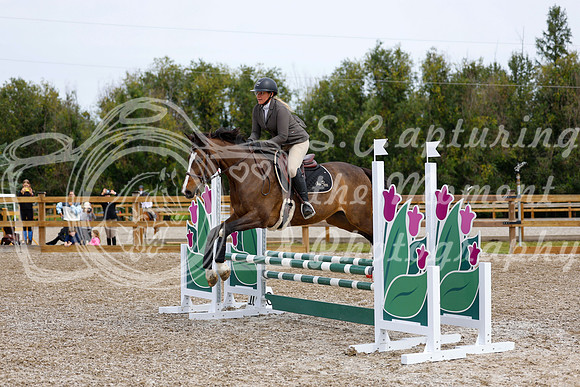 2025 - Haylee - Picco Horse Show - Friay July 25th 01589