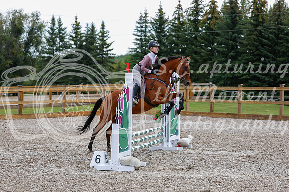 2025 - Haylee - Picco Horse Show - Saturday July 26th 00961