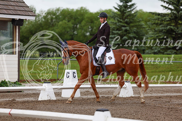 2025 - Dressage Festival - Sunday July 6th - 01339