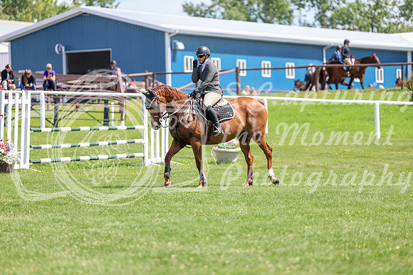 2025 - Shea - Teesdale - Thursday July 24th - 01143