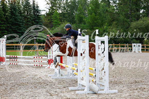 2025 - Haylee - Picco Horse Show - Saturday July 26th 01858