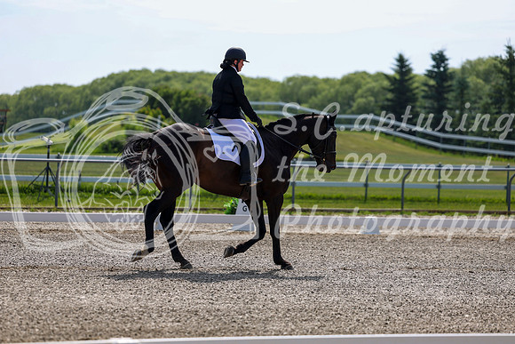 2025 - Dressage Festival - Saturday July 5th - 02967