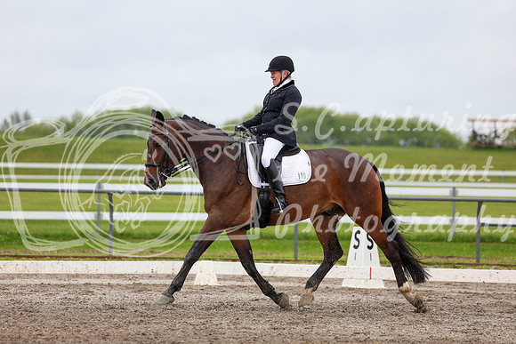 2025 - Dressage Festival - Sunday July 6th - 08795