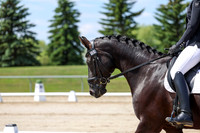 2025 - Dressage Festival - Saturday July 5th - 06971