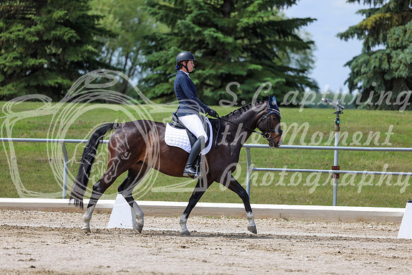 2025 - Dressage Festival - Saturday July 5th - 07558