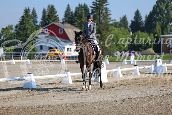 2025 - Dressage Festival - Saturday July 5th - 00100