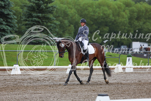 2025 - Dressage Festival - Sunday July 6th - 02421