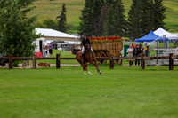 2025 - Shea - Rocky Mountain Classic II - Saturday August 16th - 15789