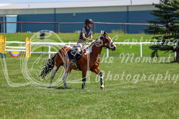 2025 - Shea - Teesdale - Thursday July 24th - 01900