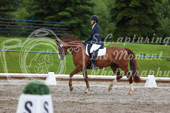 2025 - Dressage Festival - Sunday July 6th - 05311