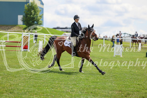2025 - Shea - Teesdale - Friday July 25th - 05503