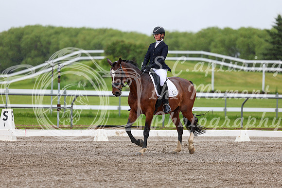 2025 - Dressage Festival - Sunday July 6th - 04276