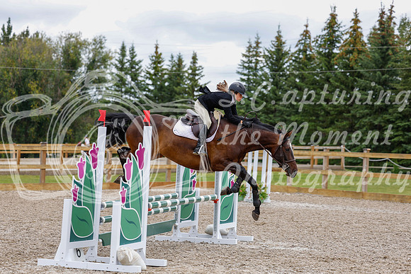 2025 - Haylee - Picco Horse Show - Saturday July 26th 04333