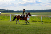 2025 - Shea - Teesdale - Friday July 25th - 04332