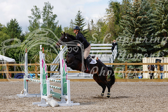 2025 - Haylee - Picco Horse Show - Sunday July 27th 03383