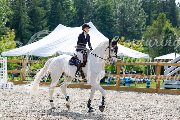 2025 - Haylee - Picco Horse Show - Saturday July 26th 07899