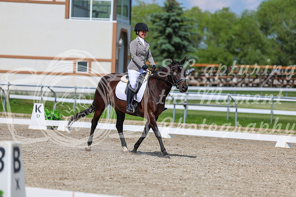 2025 - Dressage Festival - Saturday July 5th - 14547