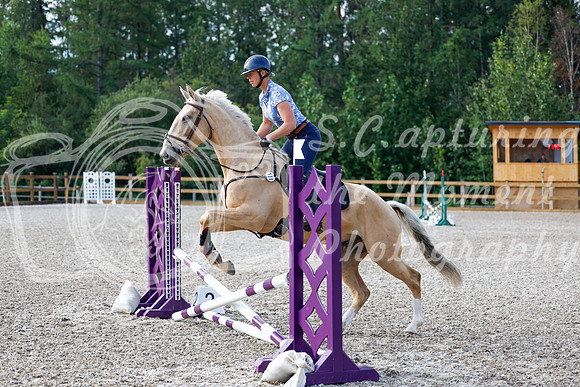 2025 - Haylee - Picco Horse Show - Saturday July 26th 00137