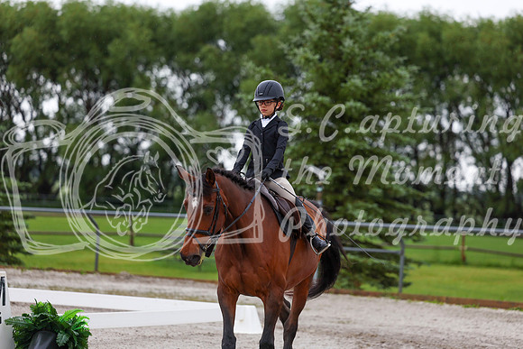 2025 - Dressage Festival - Sunday July 6th - 01809